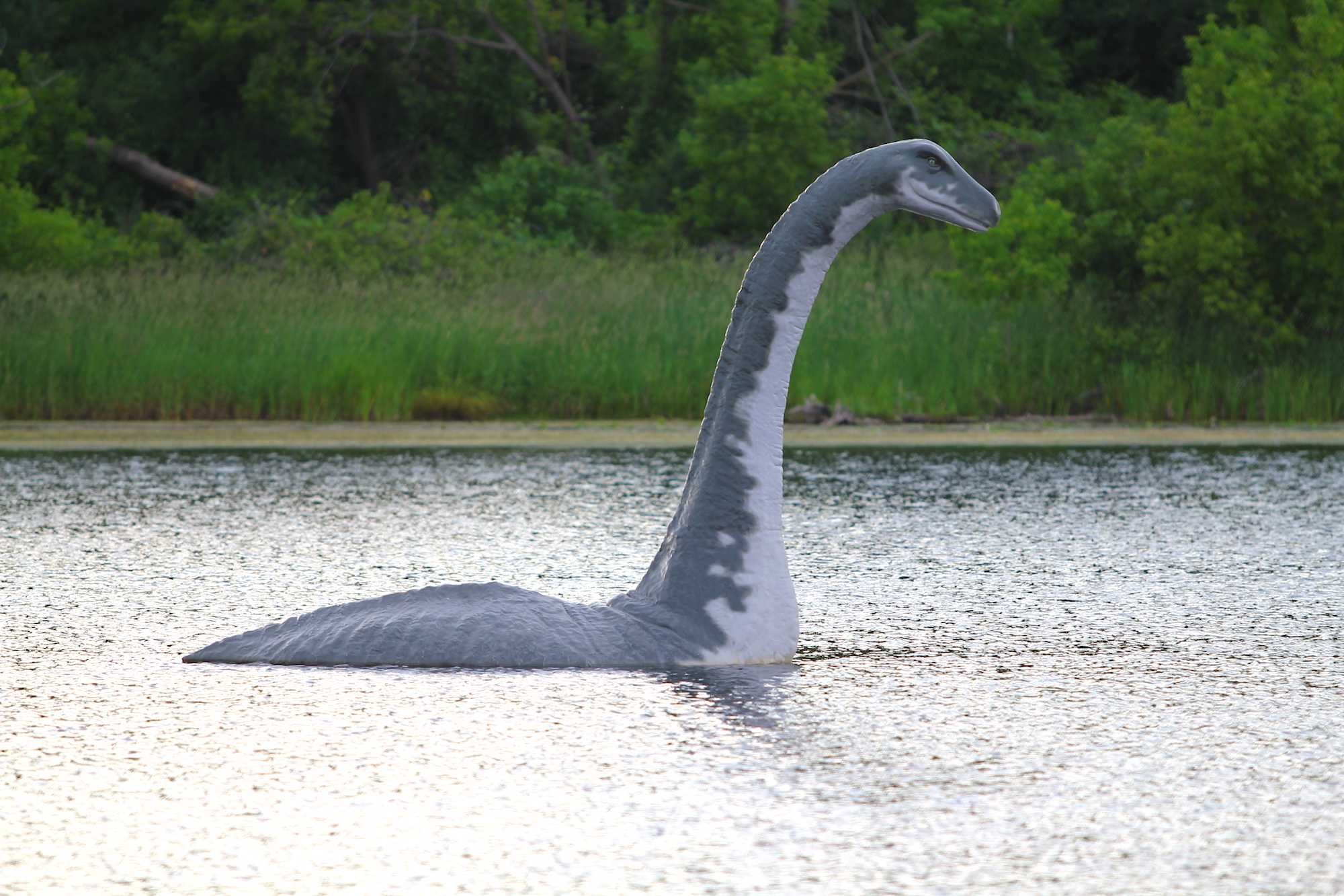 44++ Loch ness monster bilder , Seeing the Loch Ness Monster!