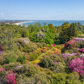 Studland Bay House - kate & tom's Large Holiday Homes