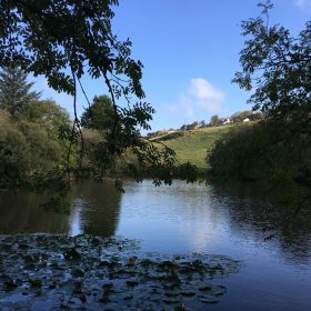 Tregulland Cottage and Barn - kate & tom's Large Holiday Homes