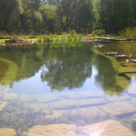 Pool, River and Dipping Pond