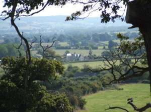 View-to-Pedington-Manor-from-Deer-Park-2