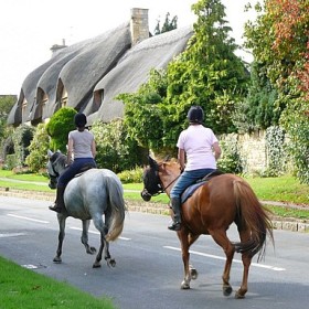  Meadowbank House - kate & tom's Large Holiday Homes