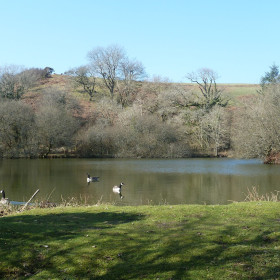  Tregulland Cottage and Barn - kate & tom's Large Holiday Homes