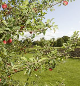 Wellacres House - kate & tom's Large Holiday Homes