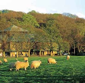  Derwentwater House - kate & tom's Large Holiday Homes