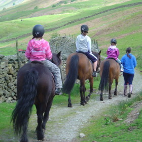 Horse Riding - kate & tom's Large Holiday Homes