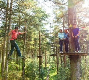 high-ropes-groups1