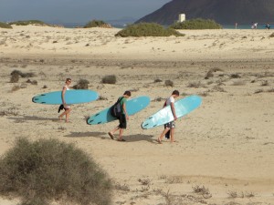 surfing-mawgan-porth