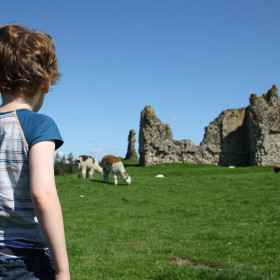  Eden Valley Hall Farm - kate & tom's Large Holiday Homes