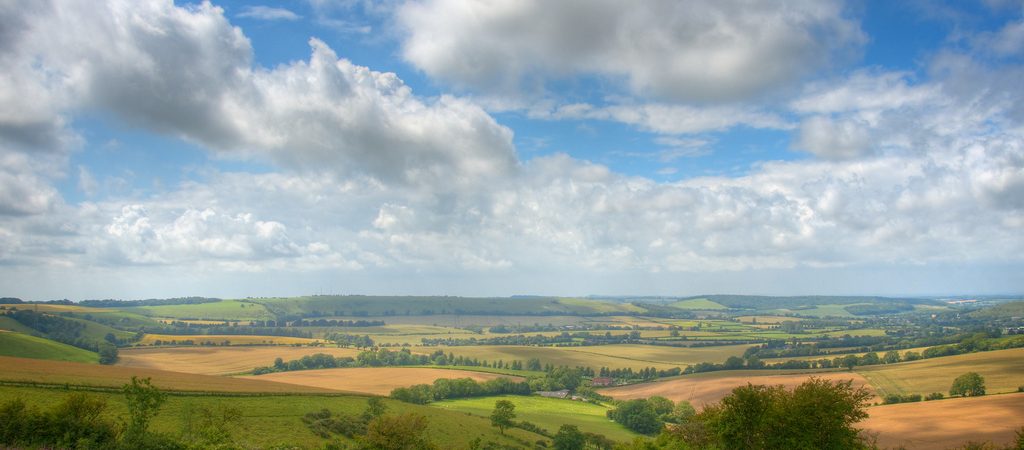 South Downs and Bognor - kate & tom's Large Holiday Homes