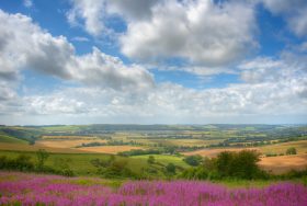 South Downs and Bognor - kate & tom's Large Holiday Homes