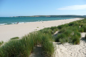 studland-beach-san