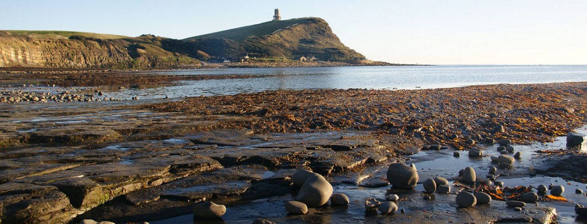 Kimmeridge Hall - kate & tom's Large Holiday Homes