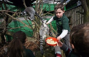 Children-feed-lemu_1364436i