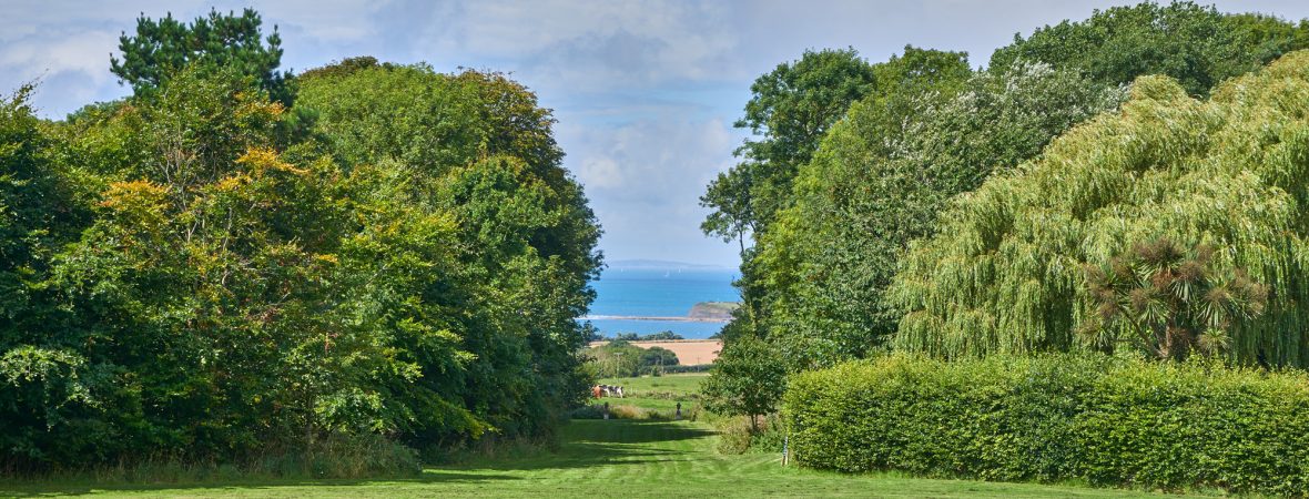 Kimmeridge Hall - kate & tom's Large Holiday Homes