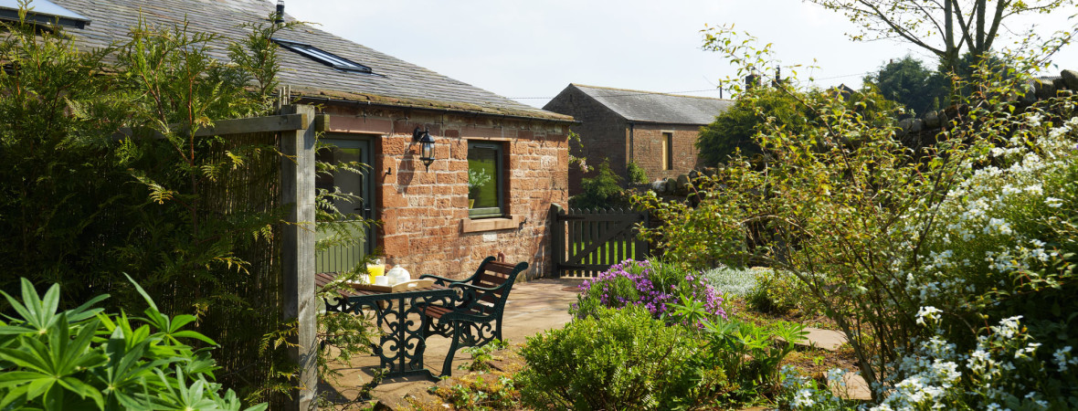 The Long House & Cottages - kate & tom's Large Holiday Homes