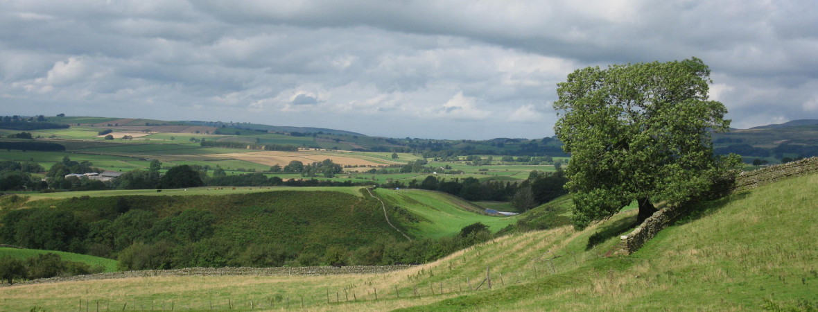 The Long House & Cottages - kate & tom's Large Holiday Homes