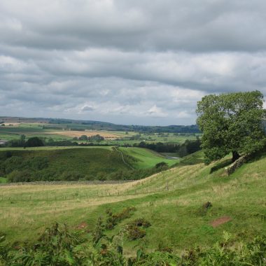 The Long House & Cottages - kate & tom's Large Holiday Homes