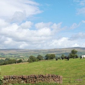 Kids in the lakes