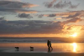 Top Dog Friendly Beaches in the UK - kate & tom's Large Holiday Homes