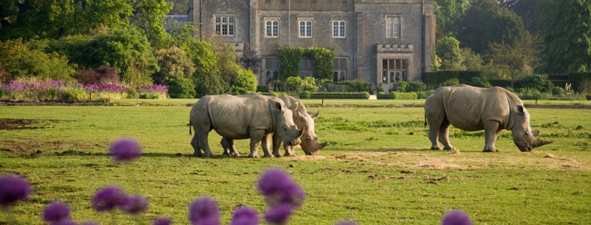 Melksham Court - kate & tom's Large Holiday Homes