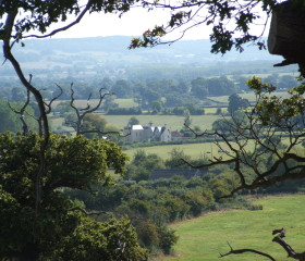 View-to-Pedington-Manor-from-Deer-Park-2-280x240