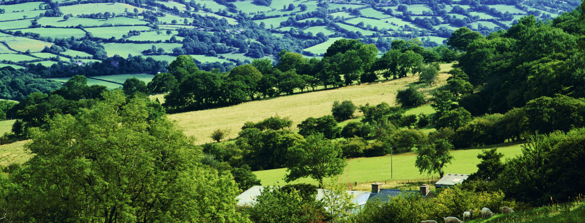 The Old Mill, Hayloft and Byre - kate & tom's Large Holiday Homes