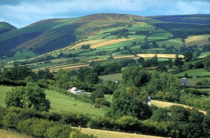 Radnor's Forest (from Offa's Dyke)Mid WalesScenery