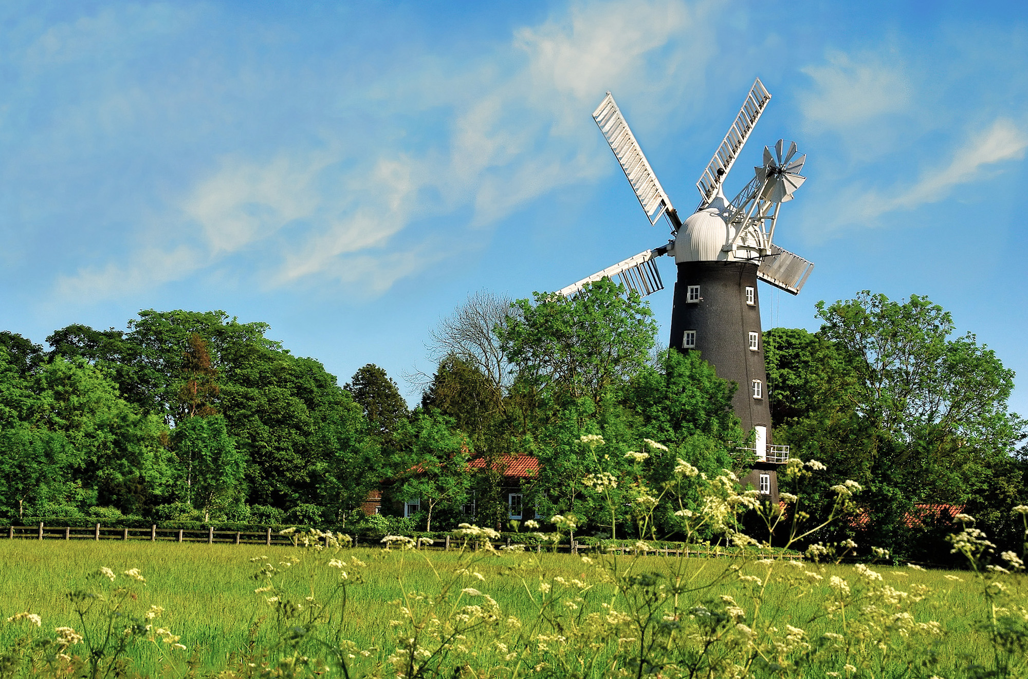 The Curved House things to do Kate & Tom's