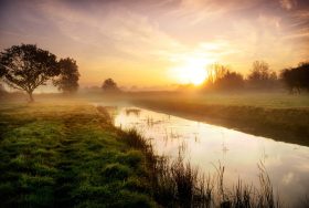 Visiting the Wildlife of Norfolk - kate & tom's Large Holiday Homes