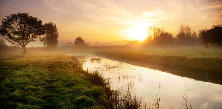 Visiting the Wildlife of Norfolk - kate & tom's Large Holiday Homes
