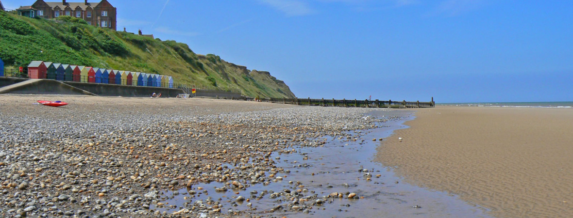 Visiting the Wildlife of Norfolk - kate & tom's Large Holiday Homes