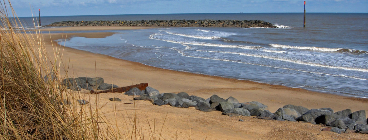 Visiting the Wildlife of Norfolk - kate & tom's Large Holiday Homes