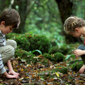 Puzzlewood - kate & tom's Large Holiday Homes