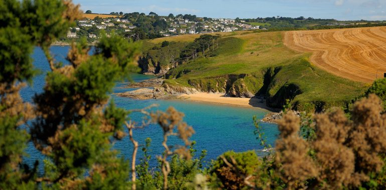 Where to Take the Kids in St Mawes - kate & tom's Large Holiday Homes