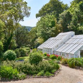 The Wing at The Moult - kate & tom's Large Holiday Homes