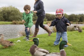 Brecon View Lodge - kate & tom's Large Holiday Homes