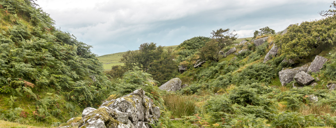 5 Stunning Walks in Cornwall - kate & tom's Large Holiday Homes