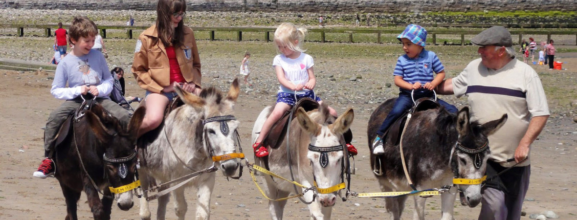 Donkey Rides Llandudno