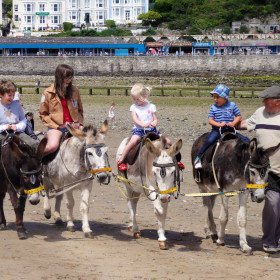 Donkey Rides Llandudno