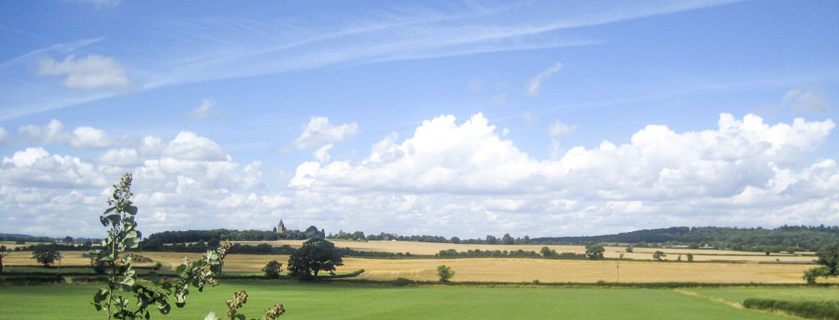 Chestnut House - kate & tom's Large Holiday Homes