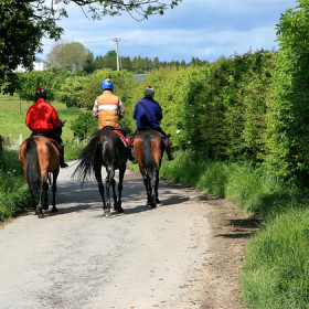  Ridgeway House - kate & tom's Large Holiday Homes