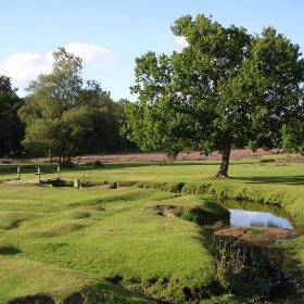  Whitelake Hall - kate & tom's Large Holiday Homes