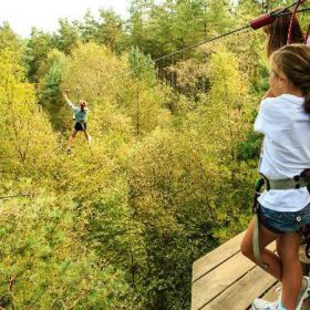 Go Ape - kate & tom's Large Holiday Homes