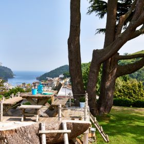  Barrington House - kate & tom's Large Holiday Homes