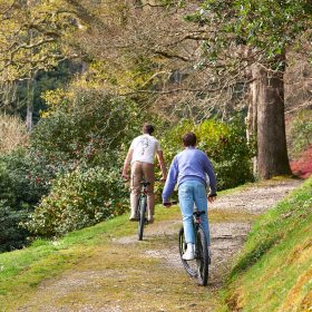 Boconnoc House - kate & tom's Large Holiday Homes