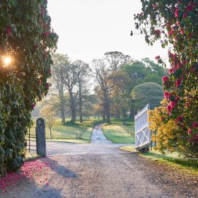 Boconnoc House - kate & tom's Large Holiday Homes