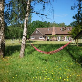 Oakwood Lodge - kate & tom's Large Holiday Homes