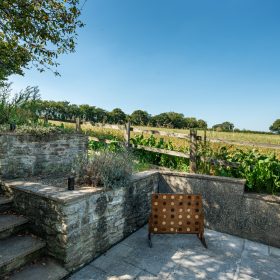 Under the Vines