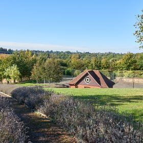 Eastlands - kate & tom's Large Holiday Homes